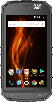 CAT S31