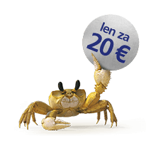 Neobmedzené volania za 20 €